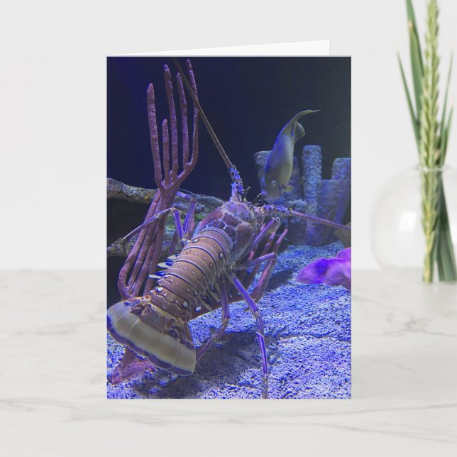 carte de voeux de homard (drôle à l'intérieur) (Devant)