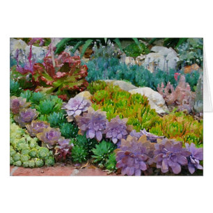 Carte de voeux de jardin coloré succulent