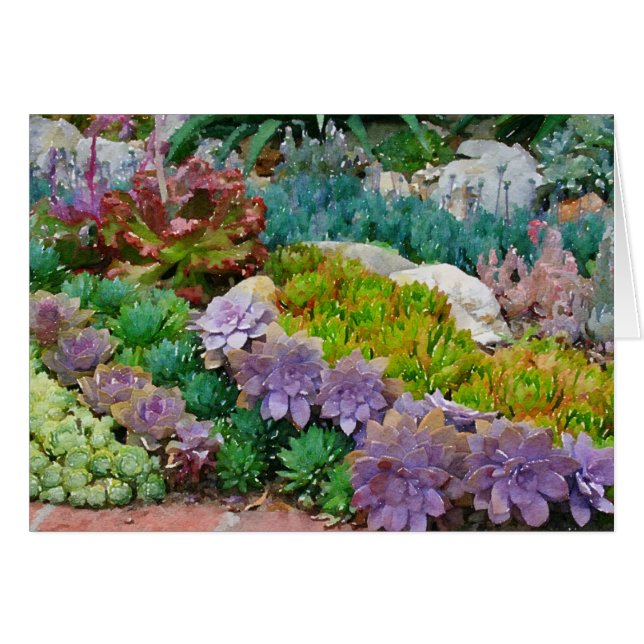 Carte de voeux de jardin coloré succulent (Devant Horizontal)