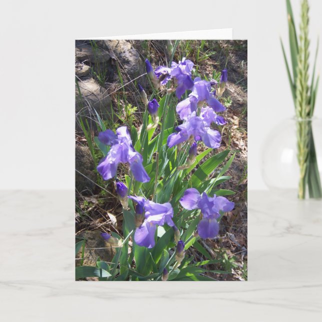 Carte de voeux de jardin de Fower d'iris (Devant)
