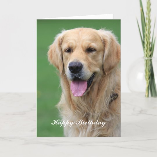 Carte De Voeux De Joyeux Anniversaire De Chien De Zazzle Fr