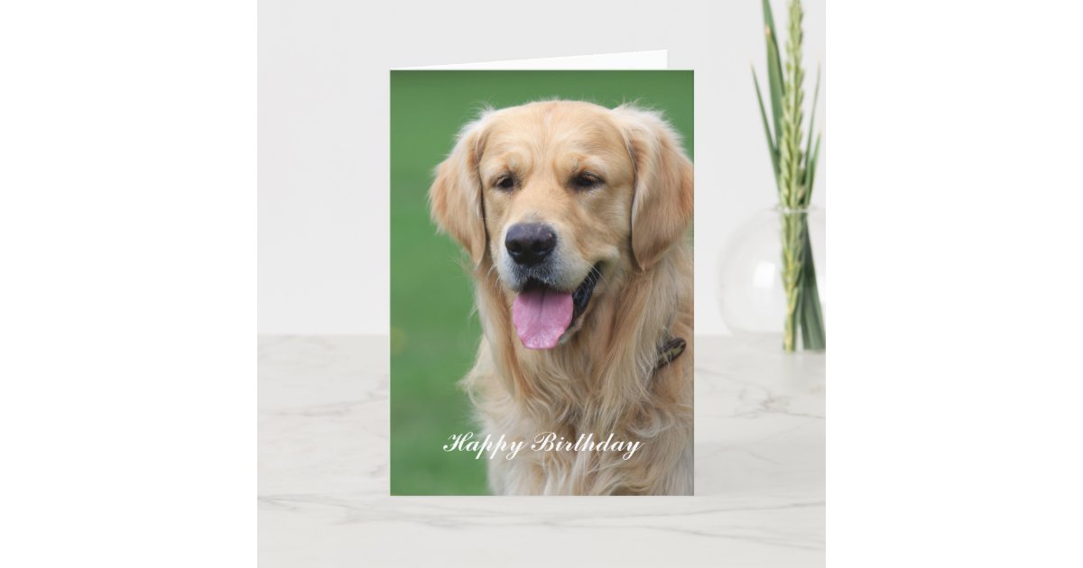 Carte De Voeux De Joyeux Anniversaire De Chien De Zazzle Fr