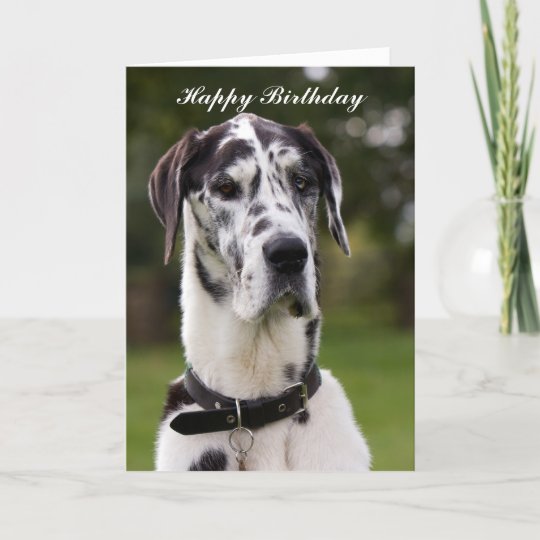 Carte De Voeux De Joyeux Anniversaire De Chien De Zazzle Fr