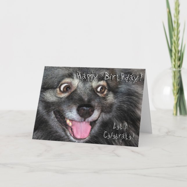 Carte de voeux de joyeux anniversaire de Keeshond (Devant)