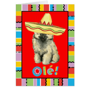 Carte de voeux de Keeshond de fiesta