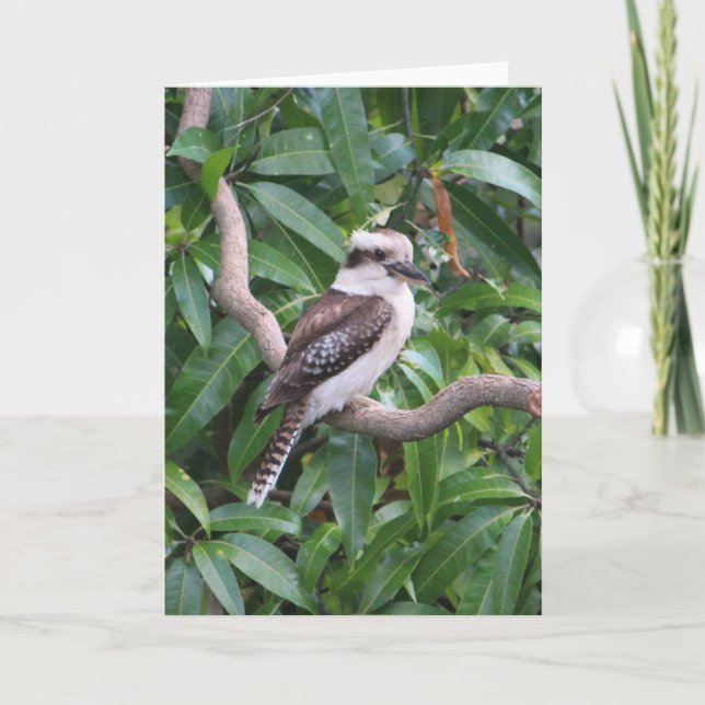 Carte de voeux de Kookaburra riant (Devant)