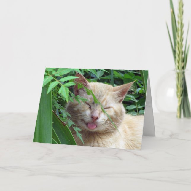 Carte de voeux de la bête (Devant)