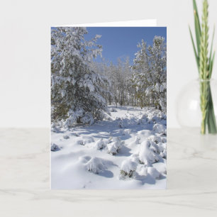 Carte de vœux de la forêt hivernale enneigée
