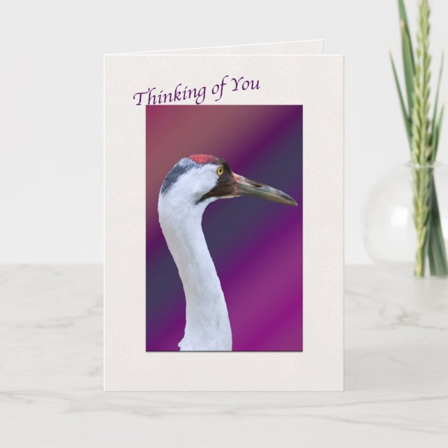 Carte de voeux de la grue blanche penser à vous (Devant)