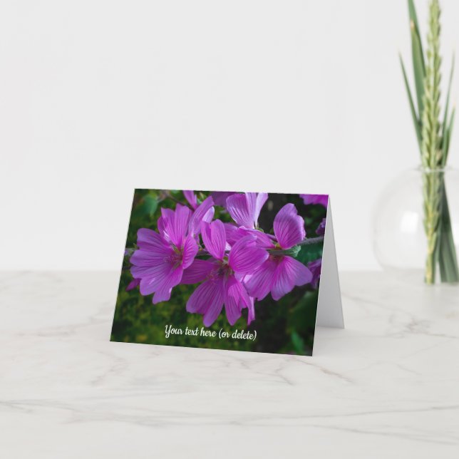 Carte de vœux de la mauve arborescente (Devant)