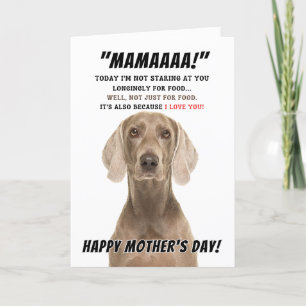 Carte de voeux de la mère Weimaraner