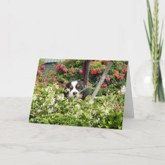 Carte de voeux de la nation Berner