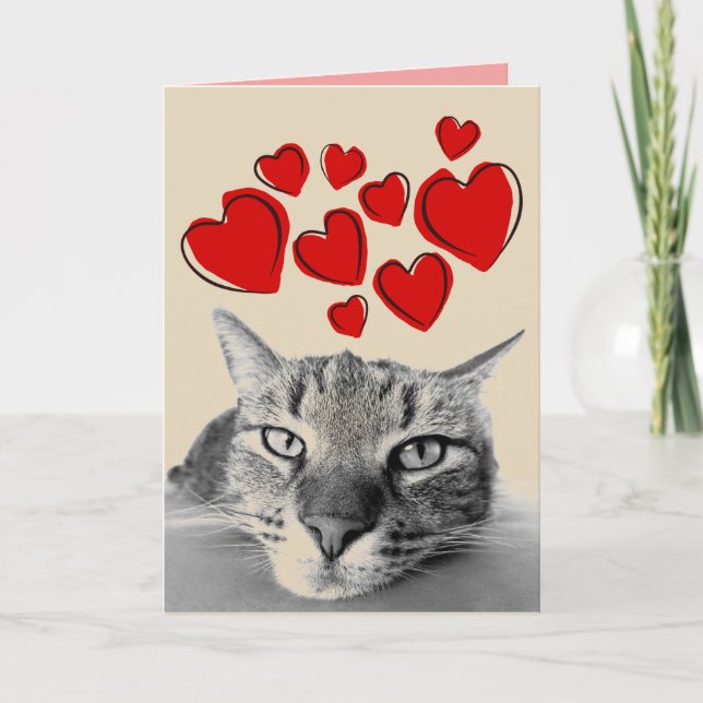 CARTE DE VOEUX DE LA SAINT-VALENTIN POUR CHAT TIGR (Devant)