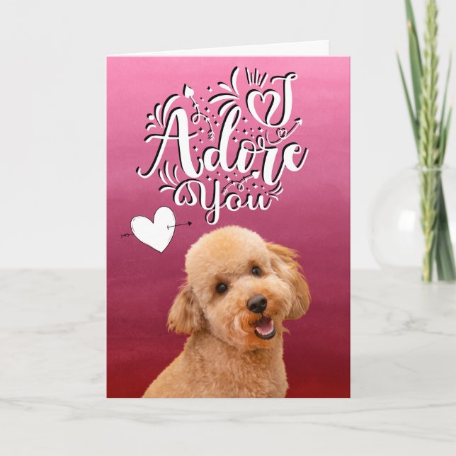 Carte de vœux de la Saint-Valentin pour un Caniche (Devant)