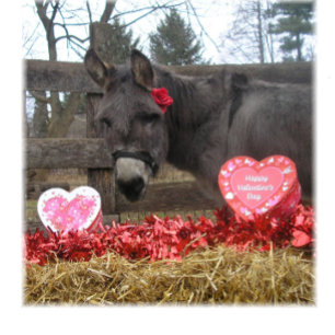 Carte de vœux de la Saint-Valentin "Sois mon Valen