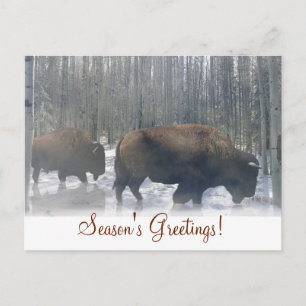 Carte de vœux de la saison des bisons dans la neig