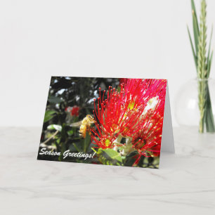 Carte de vœux de la saison des fêtes de la florais
