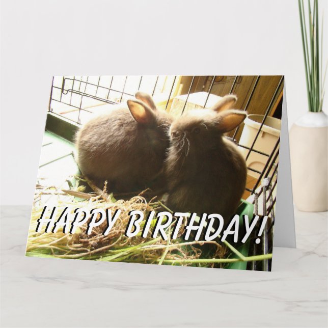 Carte de voeux de lapins d'animaux de lapins de (Devant)