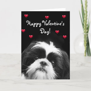 Carte de voeux de l'Heureuse Sainte-Valentin Shih 