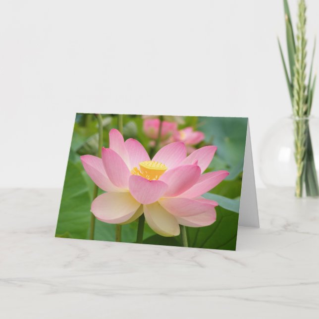 Carte de voeux de Lotus Blossum (Devant)