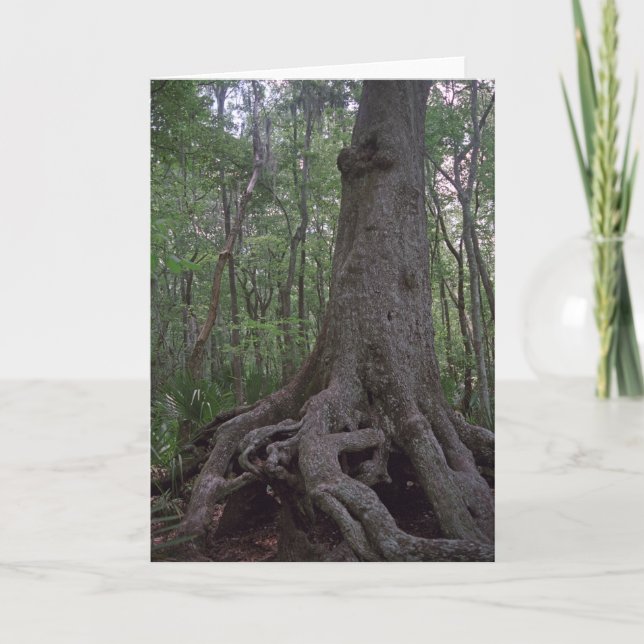 Carte de voeux de Louisiane personnalisée en artef (Devant)