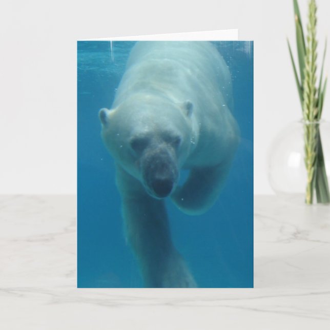 Carte de voeux de l'ours polaire (Devant)