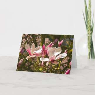 Carte de voeux de magnolia