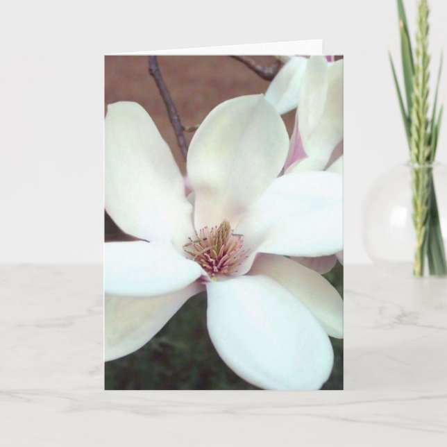 Carte de voeux de magnolia (Devant)