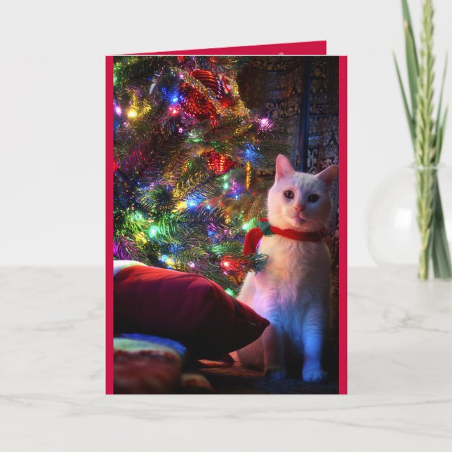 Carte de voeux de Meowy Catmas (Devant)