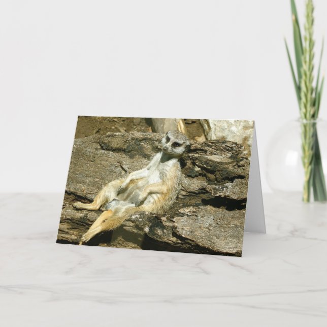 Carte de voeux de Mercat (Devant)