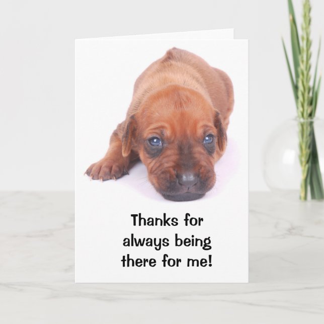 Carte de voeux de MERCI de Rhodesian Ridgeback (Devant)