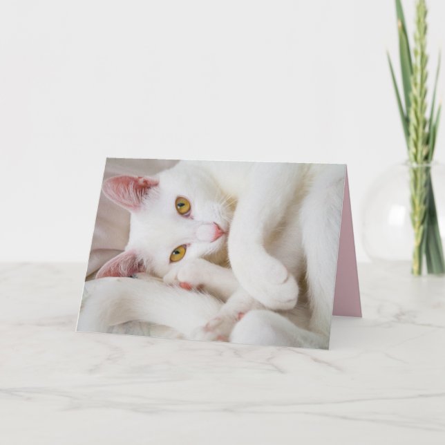 carte de voeux de minou de caresse (Devant)