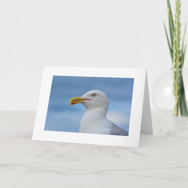 Carte de voeux de mouette (Devant)