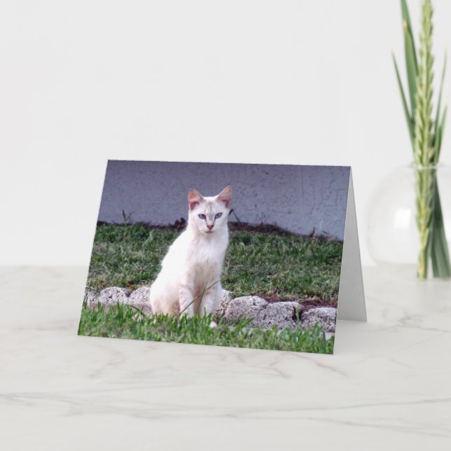 Carte de voeux de Mulan (8838) (Devant)