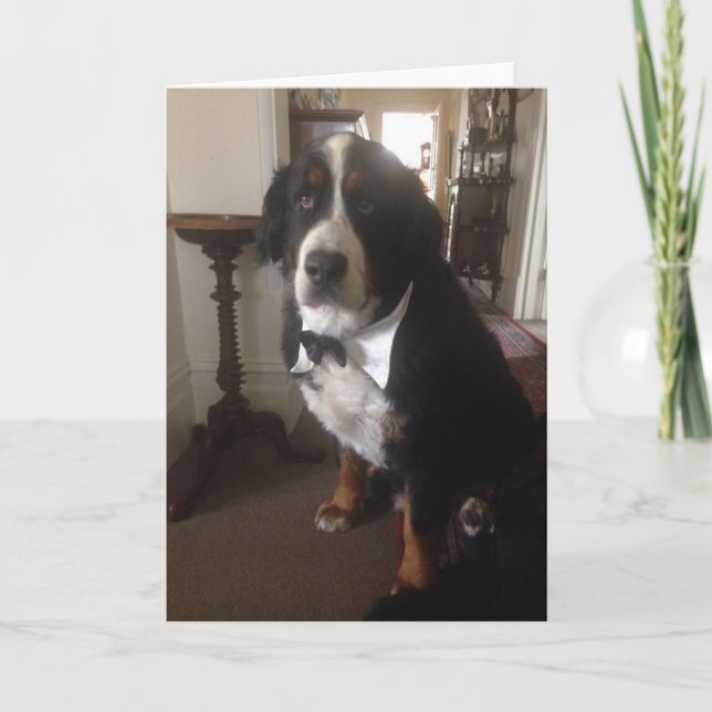 Carte de voeux de nation de Berner (Devant)