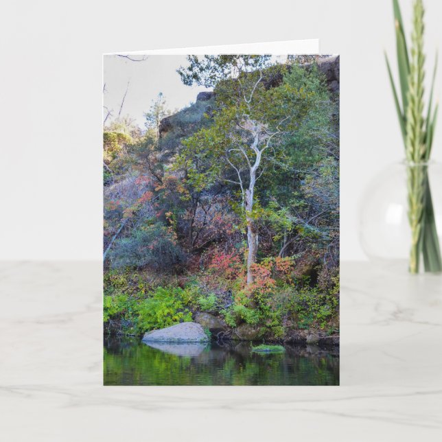 Carte de voeux de nature de NorCal : Carte (Devant)