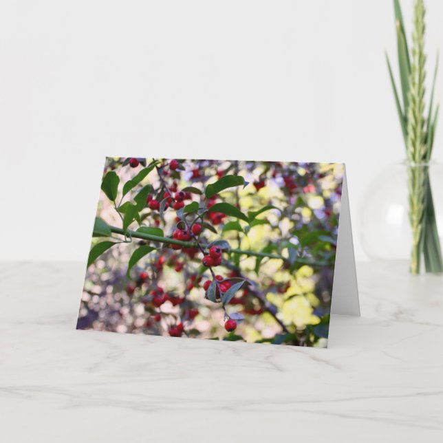 Carte de voeux de Noël (Devant)