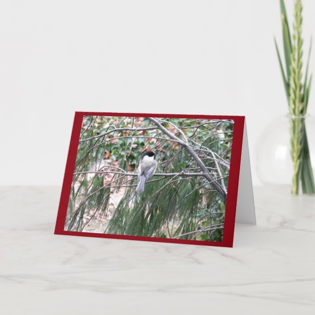 Carte de voeux de Noël au poulet (Devant)