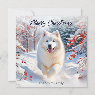 Carte de vœux de Noël avec chien Samoyède dans la 