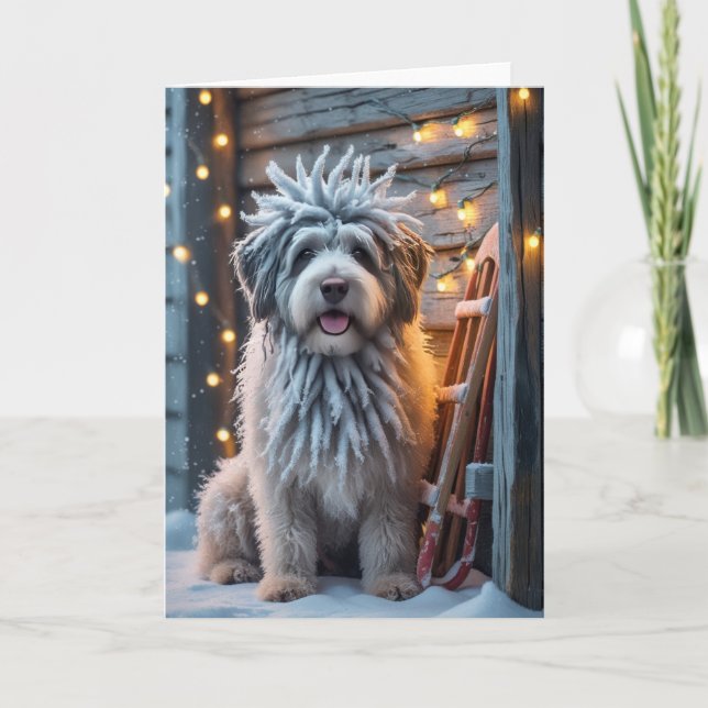 Carte de voeux de Noël Bergamasco Sheepdog Chien (Devant)