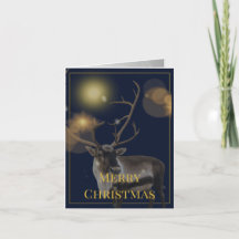Carte de vœux de Noël Bleu & Or (4 Pages)