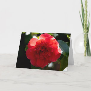 Carte de vœux de Noël Camélia Rouge