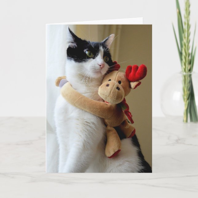 Carte de voeux de Noël de chat de chat de chat (Devant)