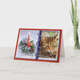 Carte de voeux de Noël de chat du Bengale