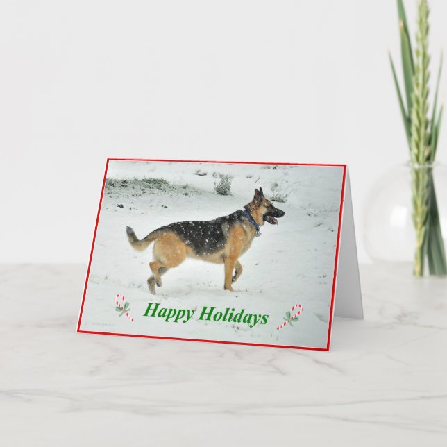 Carte de voeux de Noël de chien berger allemand (Devant)