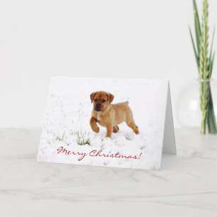 Carte de voeux de Noël de Chien Chien Chien Cochon