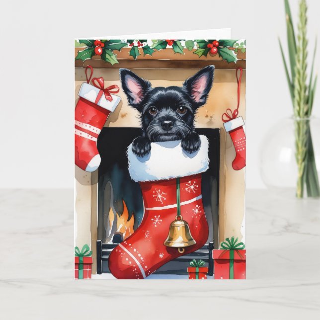 Carte de voeux de Noël de Chien Schipperke noir (Devant)