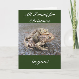 Carte de voeux de Noël de grenouille/crapaud migno