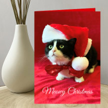 Carte de voeux de Noël de Meowy Christmas Cat