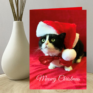 Carte de voeux de Noël de Meowy Christmas Cat